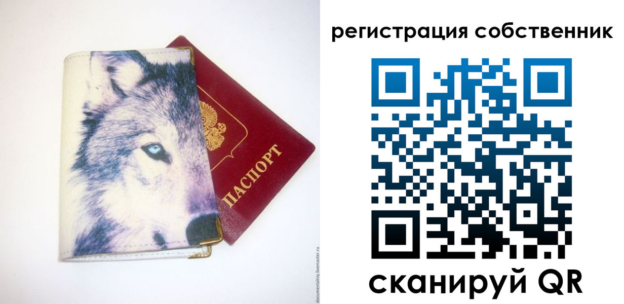 временная регистрация гарантия в Бикине